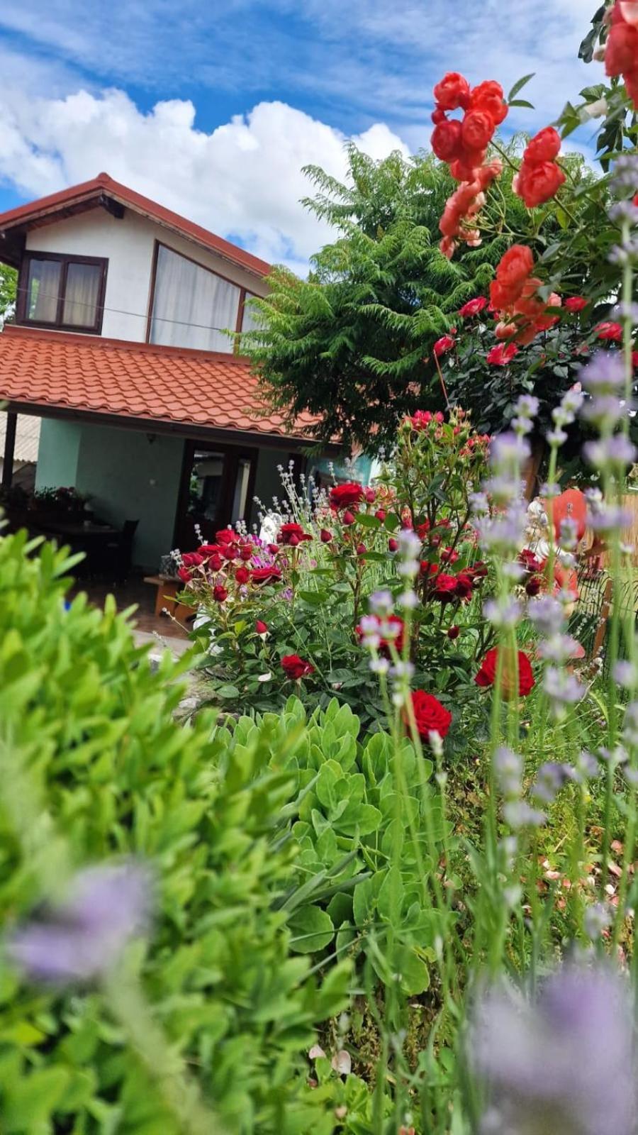 ホテル Casa Adi Si Maria マフムディア エクステリア 写真