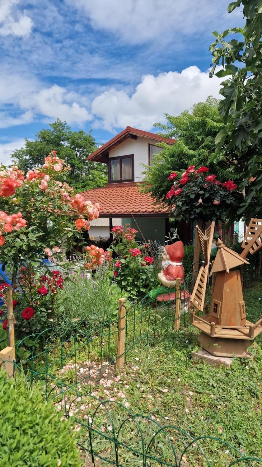 ホテル Casa Adi Si Maria マフムディア エクステリア 写真